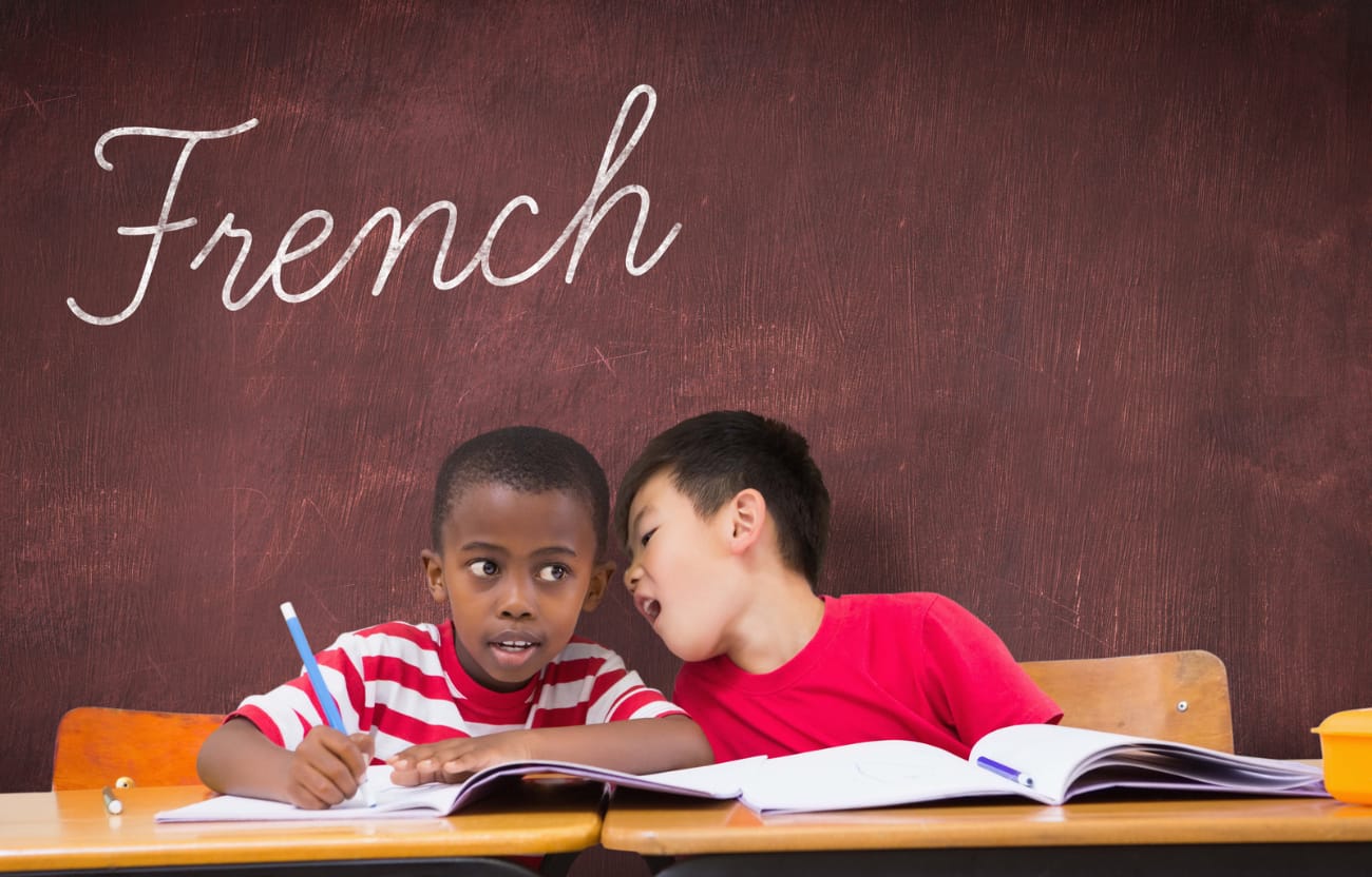 What Are French-Speaking Countries?