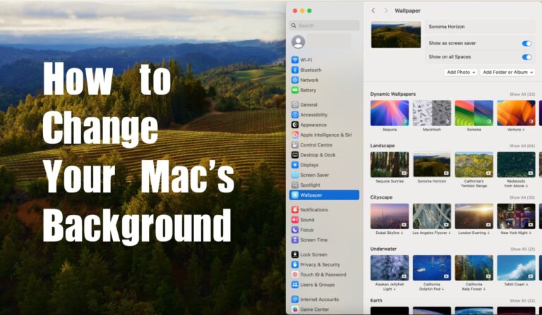 How to Change Your Mac's Background 5 How to Change Your Mac's Background